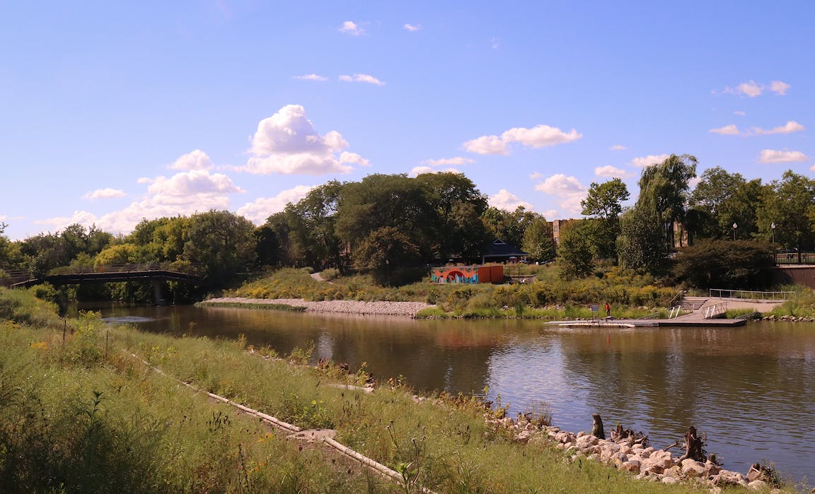 A tranquil river with tall grasses.